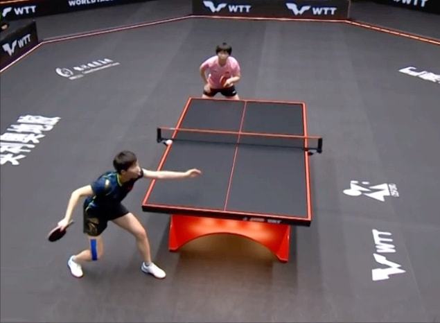 有类似塞鸟 有类似塞鸟