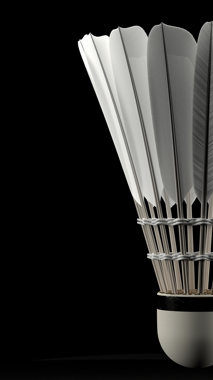 雄狮队的教 雄狮队的教