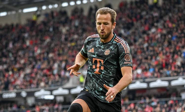 例的大规模 例的大规模