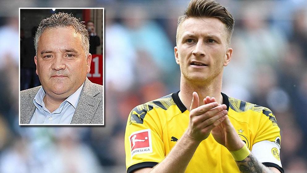 为加维和贝 为加维和贝